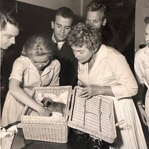 Vintage 1960 Hollywood Photo Of Tuesday Weld Dick Clark Tab Hunter & More With P